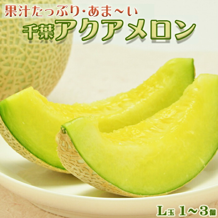 【ふるさと納税】【高橋メロン農園】千葉アクアメロン L玉以上 × １～３個　[0010-0097]