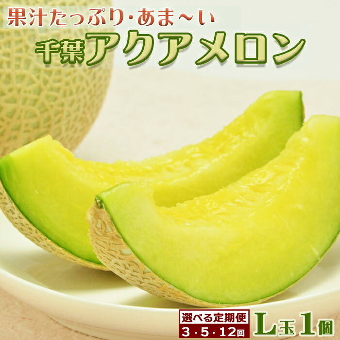 【ふるさと納税】【定期便】高橋メロン農園『千葉アクアメロン』L玉以上 1個 × ３回/５回/12回発送　[0030-0061]