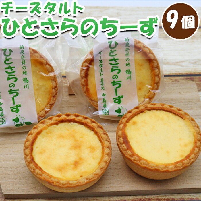 【ふるさと納税】【中島屋菓子店】ひとさらのチーズ(チーズタルト)9個入り [0010-0315]