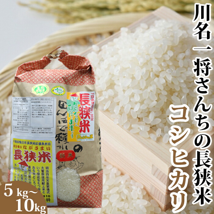 【ふるさと納税】【令和7年産】川名一将さんちの長狭米 コシヒカリ5kg～10kg（精米・玄米）　[0015-0066]
