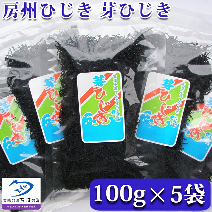 【ふるさと納税】房州ひじき 芽ひじき 100g×5袋[0010-0365]