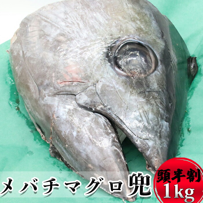 【ふるさと納税】メバチマグロ兜 頭半割1個分（1kg）[0015-0069]