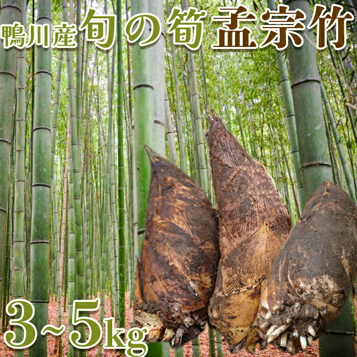 【ふるさと納税】鴨川産 旬の筍「孟宗竹」3kg・5kg[0011-0067]