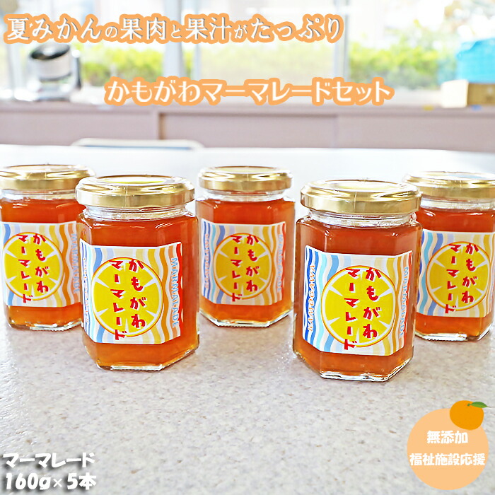 【ふるさと納税】【福祉施設応援】夏みかんマーマレード５個セット[0010-0308]