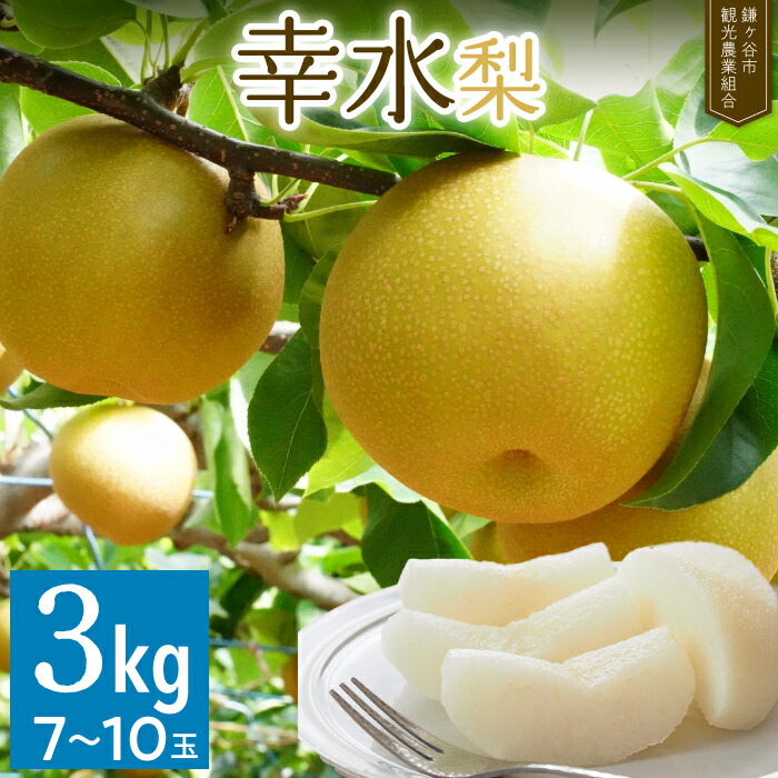 【ふるさと納税】梨 幸水 約 3kg ｜ なし 完熟 甘い 果物 フルーツ 和梨 贈答用 ギフトかまがやの梨 甘み 品種 千葉県 鎌ケ谷 先行予約 幸水