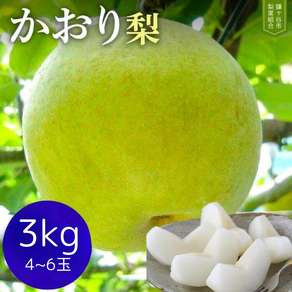 【ふるさと納税】梨 かおり 約 3kg 4～6玉 ｜ 先行予約 なし 完熟 甘い 果物 フルーツ 和梨 贈答用 ギフト甘み 品種 千葉県 鎌ケ谷 2025年8月以降順次発送 先行予約 くだもの 果実 かおり