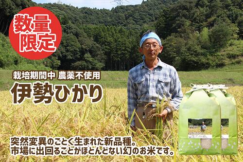 楽天市場】【ふるさと納税】定期便・3ヶ月 令和5年産 新米 渡辺さんの