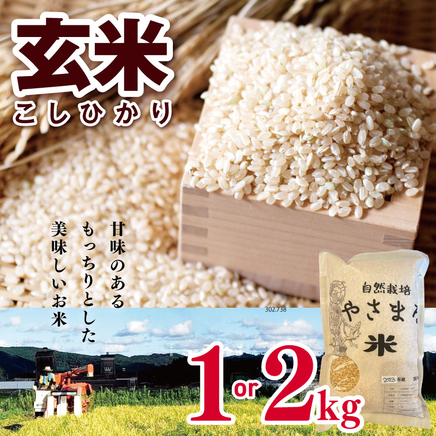 【ふるさと納税】 コシヒカリ 玄米 1kg or 2kg | 米 こめ お米 おこめ げんまい やさまる こしひかり 千葉県 君津市 きみつ
