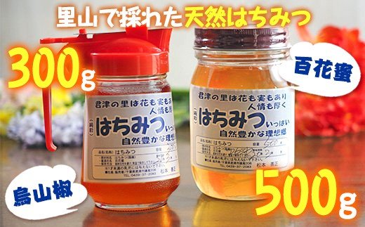【ふるさと納税】 純国産 はちみつ 計２瓶 君津産 百花蜜 500g 1瓶 & 烏山椒 300g | ハニーディスペンサー入り 1瓶 無添加 送料無料 人気の直売所 農事組合法人なごみの里君津 君津市 きみつ 千葉県