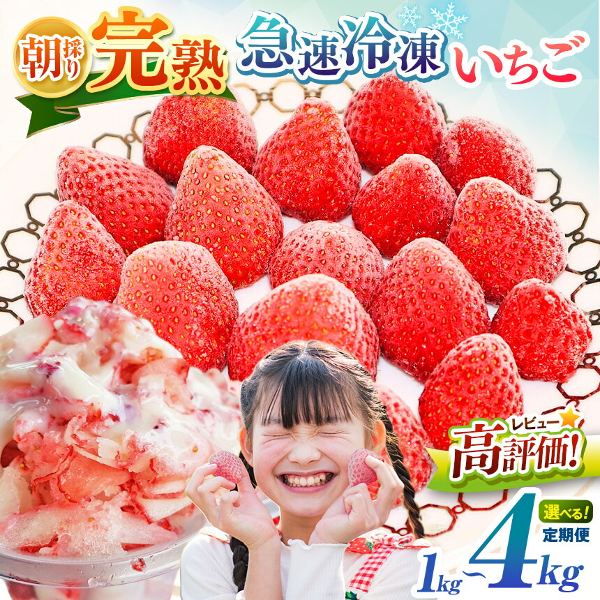楽天市場】【ふるさと納税】陽一郎園の完熟冷凍いちご 2.7kg【令