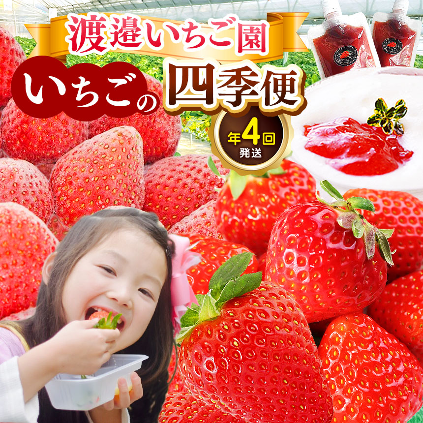 いちご(プロフご確認くださいませ)出品 ふるさと納税】【先行予約】 いちご 紅ほっぺ さがほのか 約 1kg