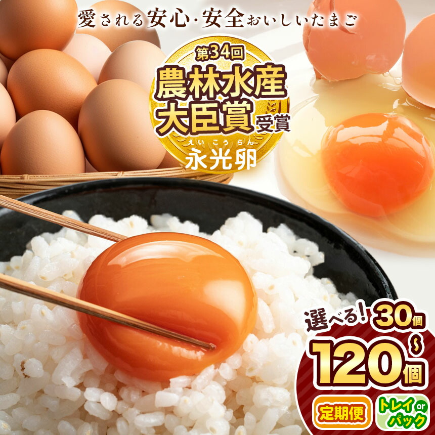 【ふるさと納税】 ＼ 2週間以内 に発送 ／  永光卵 30個 ～ 120個  卵 たまご 選べる 個数 回数 定期便 パック or トレイ | メディア 多数紹介 スピード発送 送料無料 えいこうらん  光永ファーム みつなが ゆうパック イチオシ 君津市 きみつ 千葉県 すぐ届く