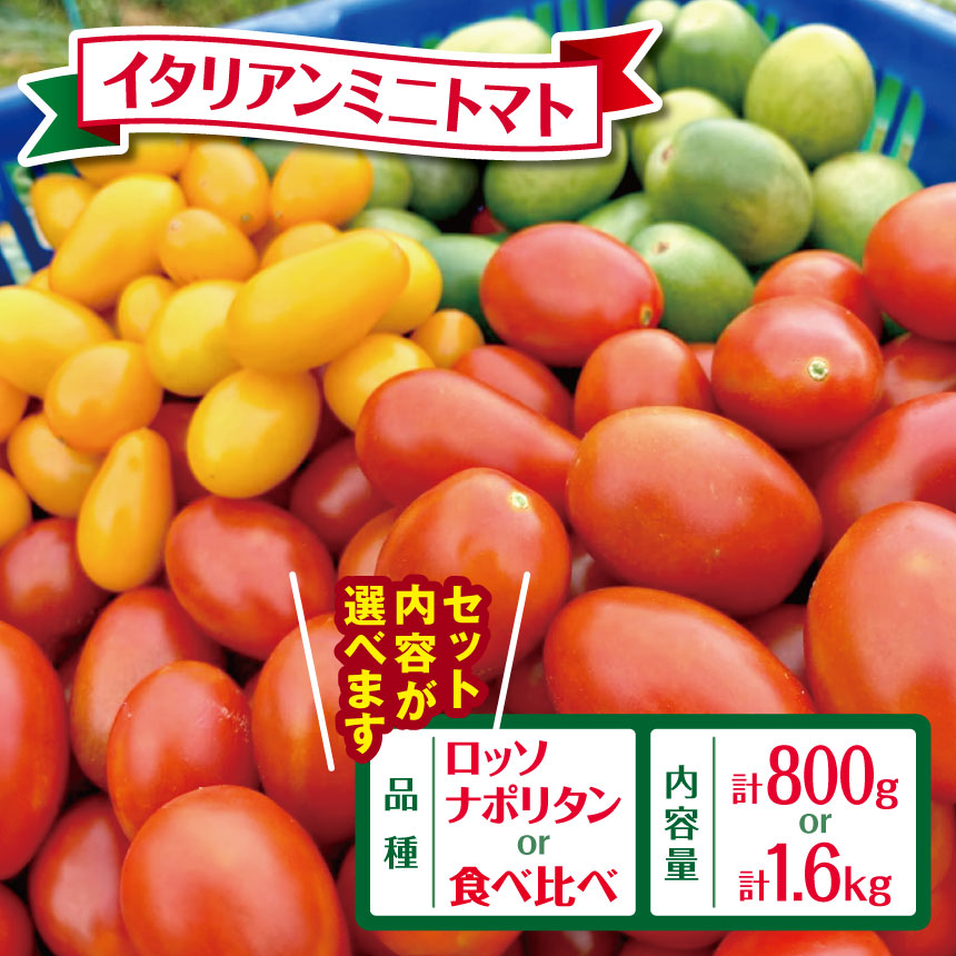 【ふるさと納税】【2025年先行予約】【 選べる 種類・ 容量 】イタリアンミニトマト 800g or  1600g | 野菜 ミニトマト プチトマト トマト 高リコピン 小分け とまと ロッソナポリタン ナポリターナカナリア サリーナエメラルド 鈴木アルファーム   君津市 きみつ 千葉県