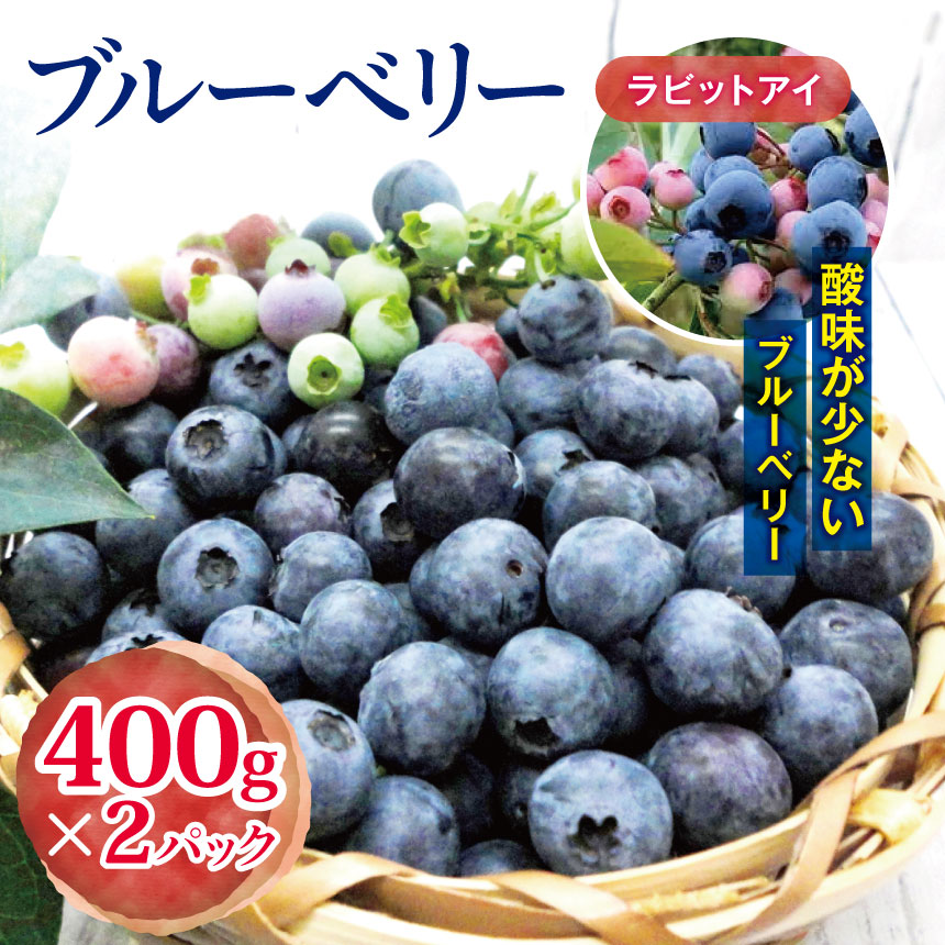 【ふるさと納税】【先行予約】 農家直送  ブルーべリー ( ラビットアイ ) 400g × 2パック 観光農園ジジの山 |  ジジの山 送料無料 フルーツ 果物 くだもの ブルーベリー ぶるーべりー 千葉県 君津市 きみつ