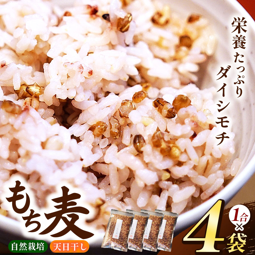 【ふるさと納税】もち麦 ( ダイシモチ ) 4袋 セット（ 1合 × 4袋）【 無農薬 無肥料 自然栽培 天日干し 】 | ののま自然農園 もちむぎ 古代米 雑穀 千葉県 君津市