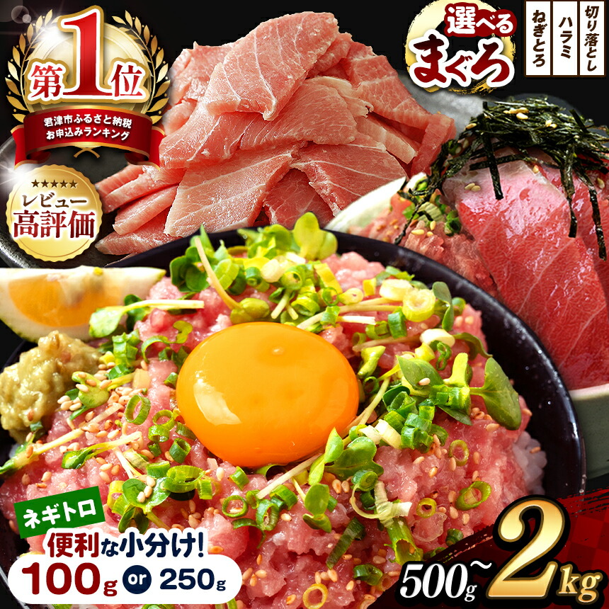 楽天市場】【ふるさと納税】日本製 コルセット キンバリー 君津