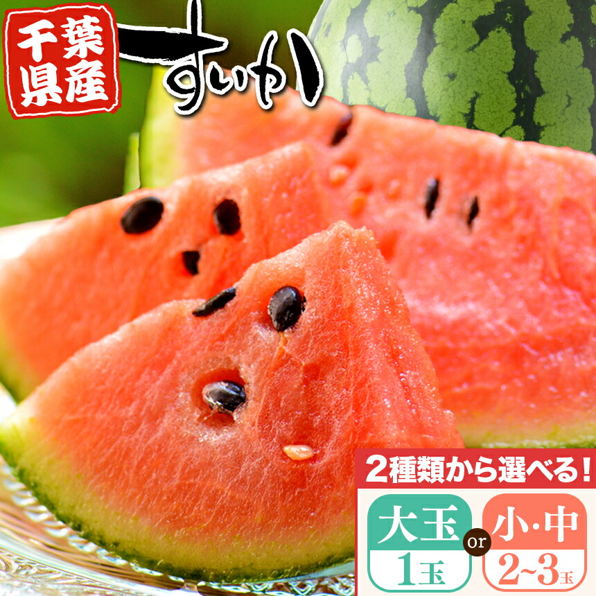 【ふるさと納税】【2025年先行予約】 千葉県産 スイカ 大玉 1玉 or 小中2～3玉 | 送料無料 人気の直売所 新鮮 人気の直売所 直送 JA きみつ 味楽囲（みらい）さだもと店 君津市 きみつ 千葉県