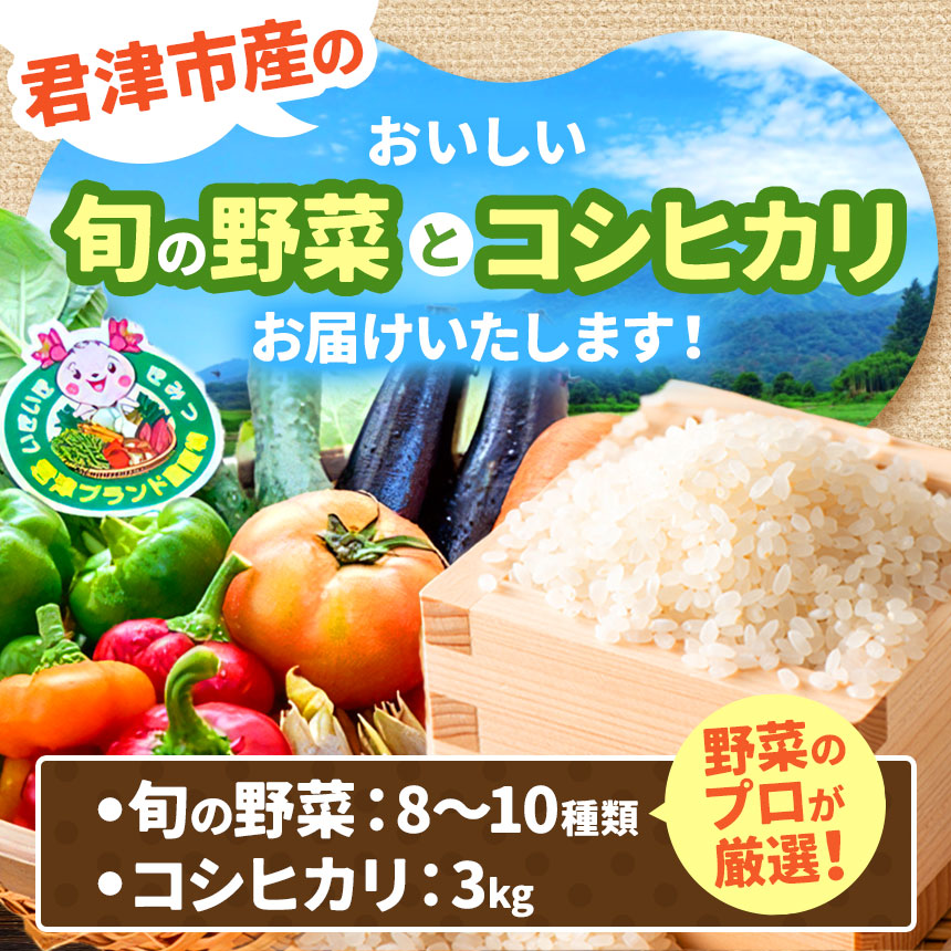 【ふるさと納税】精米 君津市産 季節の野菜8～10種類 季節の野菜まごころBOX ＆ 君津市産 令和7年産 コシヒカリ 精米 3kg | 野菜 詰め合せ 送料無料 JAきみつ味楽囲（みらい）さだもと店 人気の直売所 君津市 きみつ 千葉県