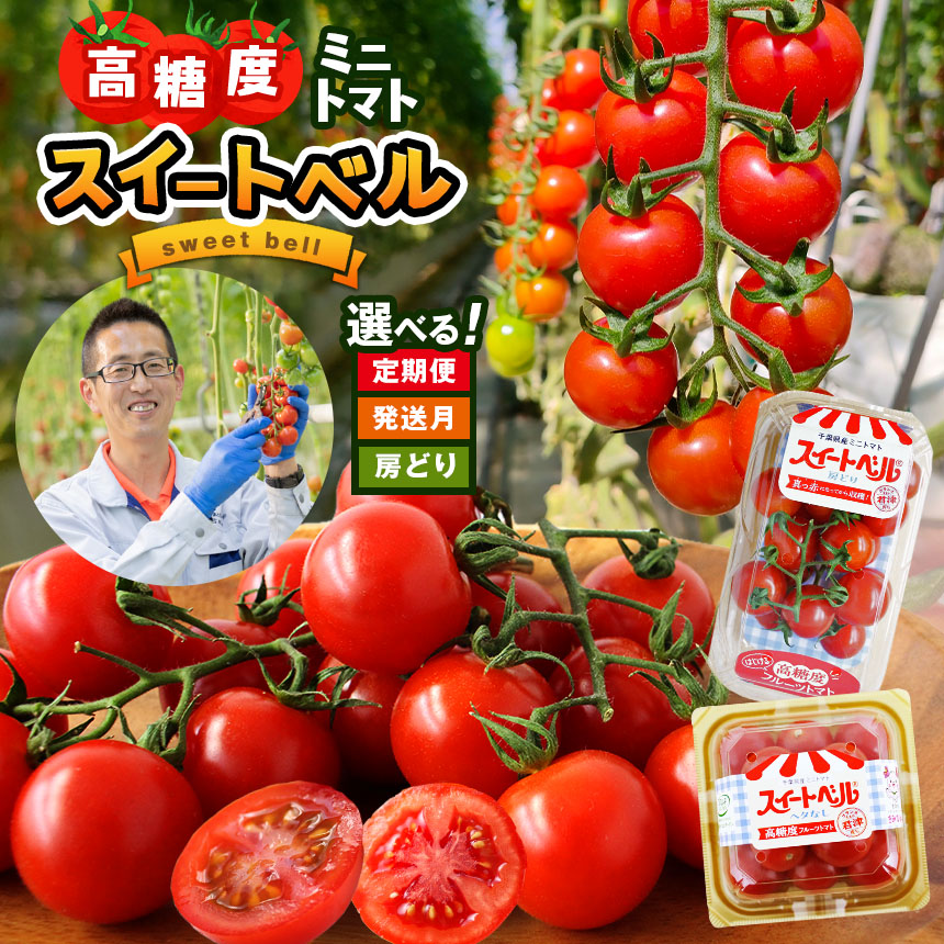 【ふるさと納税】【 選べる 配送月・選べる 回数 】 高糖度 ミニトマト スイートベル 房どり 180g × 10P ヘタなし 150g × 12P 各種 1回～6回 | 野菜 トマト とまと ミニトマト プチトマト ぷちとまと 定期便 3回 6回  送料無料 イチオシ 君津市 千葉県