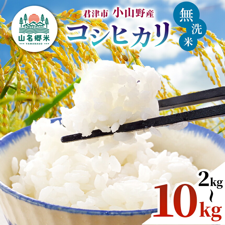 ふるさと納税】☆ レビューキャンペーン ☆ 【 先行予約 】 8月