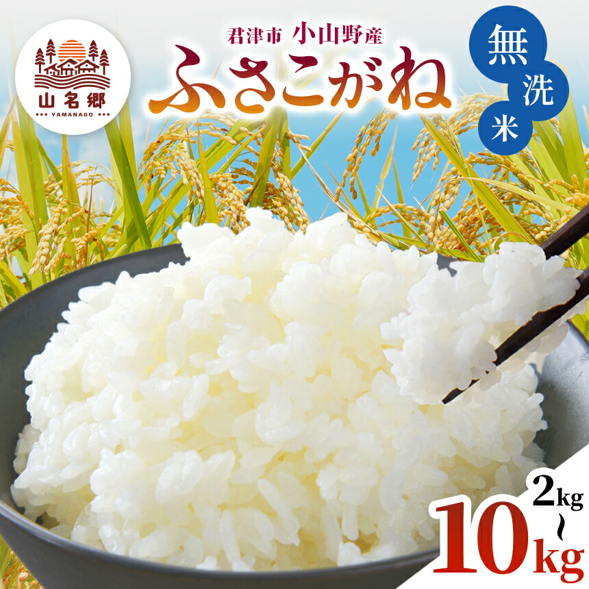 ぴなた　20キロ　送料込み　千葉君津　コシヒカリ 楽天市場】【ふるさと納税】☆ レビューキャンペーン ☆ 【 先行
