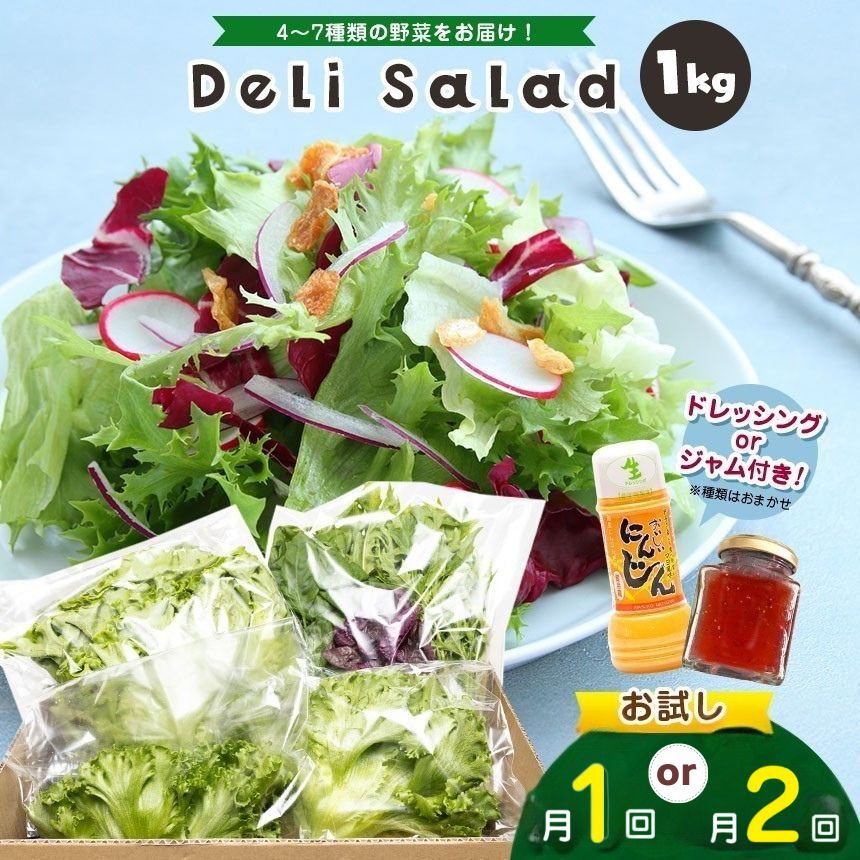【ふるさと納税】【 選べる回数 月1回 or 月2回 】 サラダミックス ＼ デリサラダ ／ Deli Salad ★ ドレッシング or ジャム付き セット 1kg | アグリード お試し サラダ お手軽 ミックス野菜 西洋ハーブ 個別包装 新鮮 美しい野菜 水耕栽培 イチオシ 千葉県 君津
