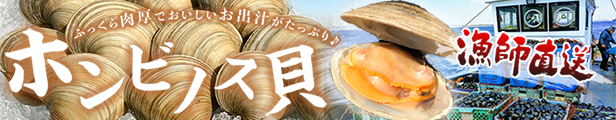 楽天市場】【ふるさと納税】芽ねぎセット 農薬未使用 無添加 芽ネギ 野菜 農産物 無添加 特選 セット 詰め合わせ 送料無料 自由研究 栽培キット  夏休み ニンニク にんにく ねぎ 佃煮 年越し蕎麦 お雑煮 おせち料理 寿司 鍋 ビタミン ミネラル 栄養 瓶詰 千葉県 富津市 ...