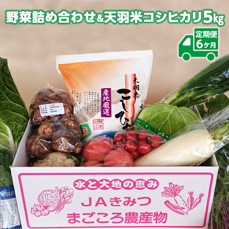 【ふるさと納税】定期便 6ヶ月 野菜 農産物 農作物 米 コシヒカリ 天羽米 おすすめ 国産 旬 新鮮 詰め合わせ セット BOX  詰合せ お楽しみ 毎月お届け毎月1回 計6回 半年 JA 農協