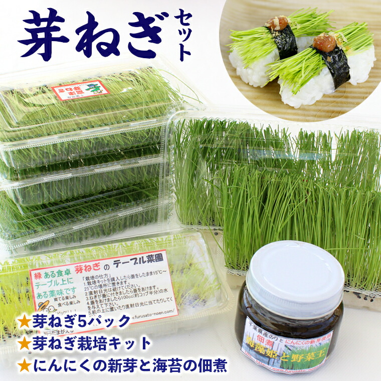 楽天市場】静岡県産 京丸姫ねぎ パック（約25〜30g） 芽ねぎ