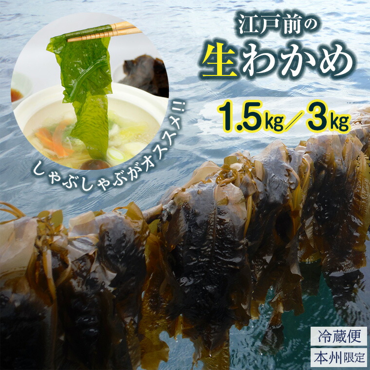 【楽天市場】【ふるさと納税】ワカメ 1.5kg 3kg 生 冷蔵便 期間限定