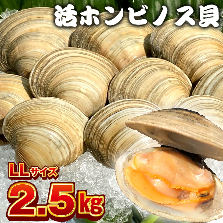 楽天市場 ふるさと納税 ホンビノス貝 Llサイズ165g 計2 5kg 冷蔵 国産 白ハマグリ 白蛤 はまぐり 大アサリ 浜焼き Bbq バーベキュー アウトドア キャンプ 漁師直送 産地直送 魚介類 海鮮 貝 シーフード クラムチャウダー パスタ 天ぷら 酒蒸し 千葉県 富津市 送料