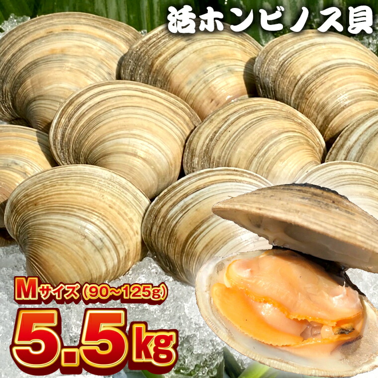 アウトレットで大人気のお店 楽天市場 ふるさと納税 ホンビノス貝 Mサイズ100g 125g 計5 5kg 冷蔵 国産 浜焼き q バーベキュー アウトドア キャンプ 漁師直送 産地直送 魚介類 海鮮 貝 シーフード クラムチャウダー パスタ 天ぷら 酒蒸し 千葉県 富津市 送料無料