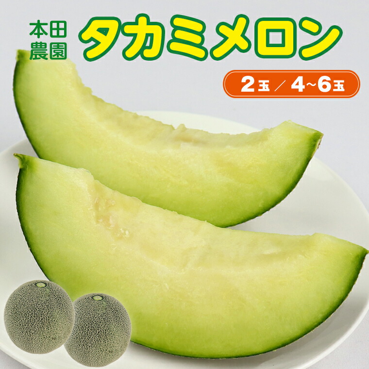 【ふるさと納税】メロン タカミメロン おすすめ フルーツ 果物 くだもの 2玉 3kg以上 4～6玉 約5～7kg 人気 国産 先行予約 数量限定 貴味メロン 青肉 国産 リピーター リピート 農産物 農作物 本田農園 6月下旬～7月末頃発送予定
