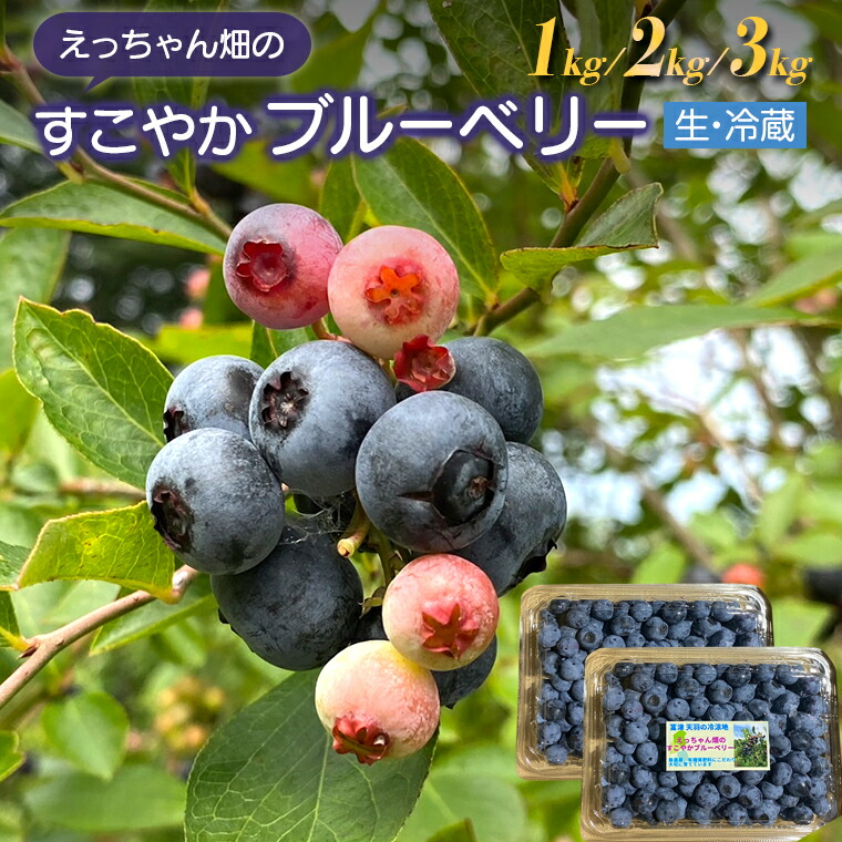 【ふるさと納税】ブルーベリー 果物 フルーツ おすすめ ラビットアイ ベリー 旬 期間限定 農産物 農作物 農薬不使用 有機 ヨーグルト ジャム パン スイーツ お菓子 えっちゃん畑