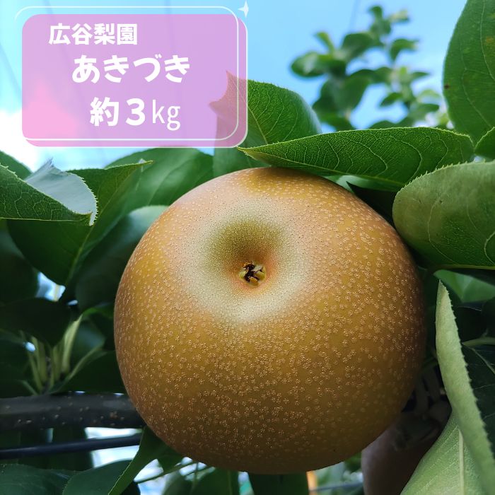 【ふるさと納税】あきづき 約3kg / 広谷梨園 / 梨 なし 果物