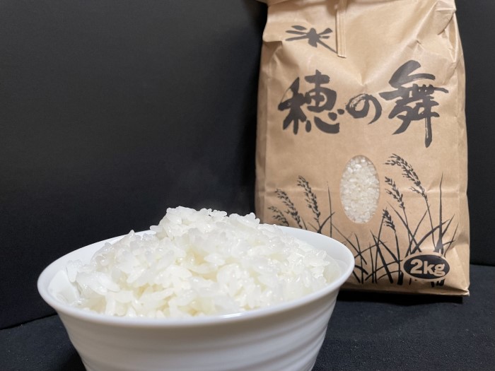 ふるさと納税 福井県 おおい町 さぶりの里山のお米　コシヒカリとあきさかり食べくらべセット　10kg ふるさと納税 さぶりの里山のお米 コシヒカリとあきさかり食べくらべセット