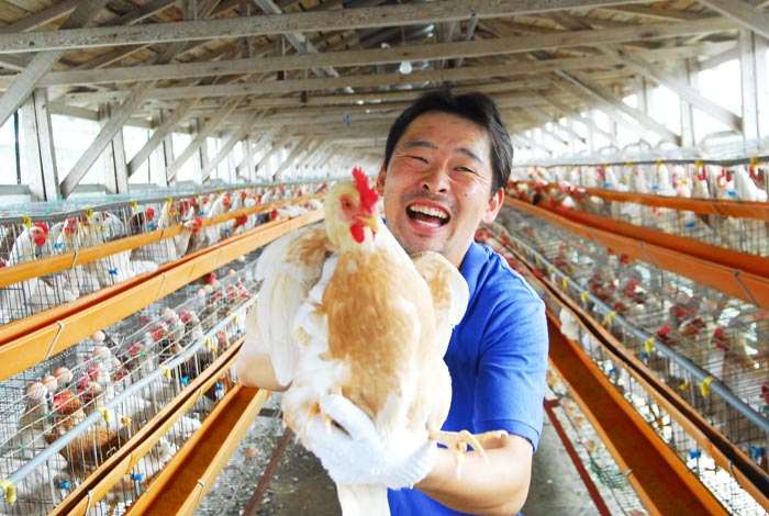 市場 ふるさと納税 房総のあおぞら農場北川鶏園のぷりんセス エッグ30個