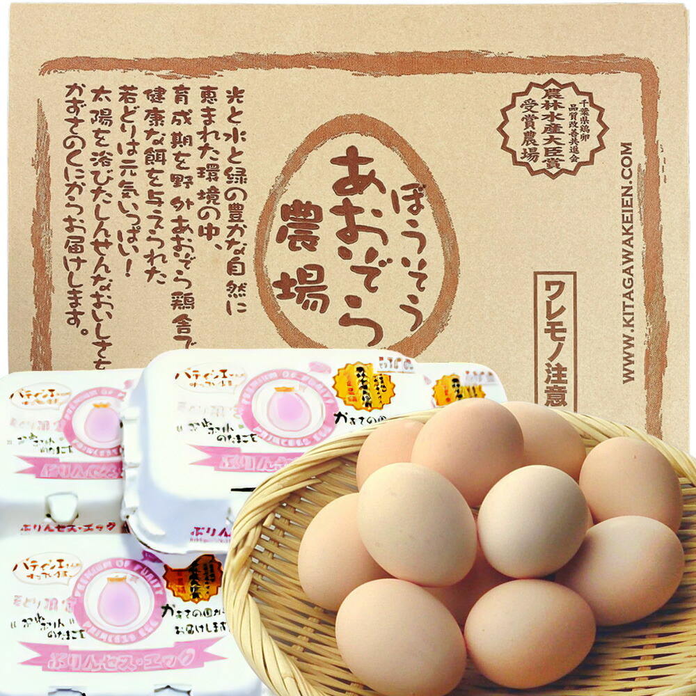 市場 ふるさと納税 房総のあおぞら農場北川鶏園のぷりんセス エッグ30個