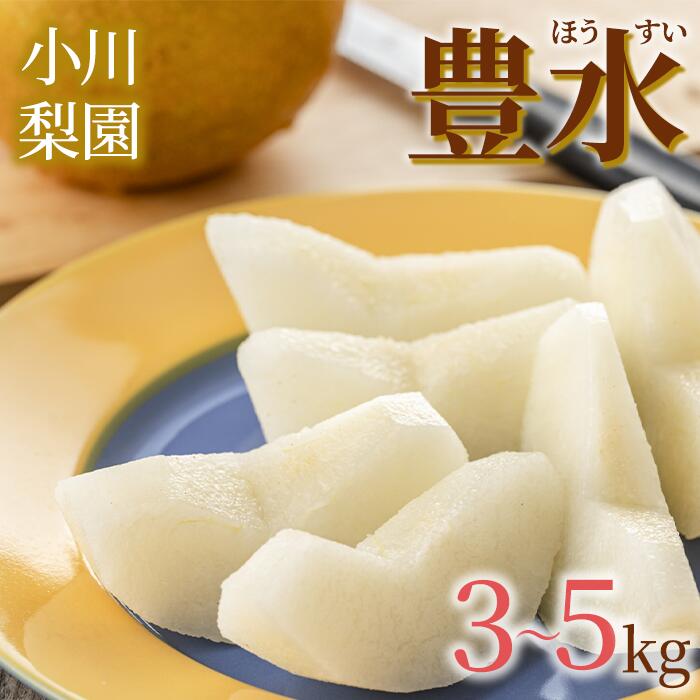 【ふるさと納税】なし 梨 3kg 5kg 豊水 送料無料 取り寄せ おすすめ 人気 ナシ 限定 国産 期間 秋 9月 季節 フルーツ 果物 くだもの 旬 千葉県 和梨 八街 小川梨園 先行予約 フルーツ先行予約 2025年梨先行予約