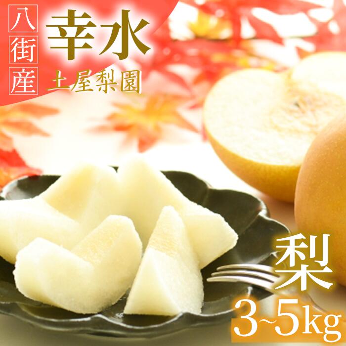 【ふるさと納税】期間限定 幸水 3kg 5kg 土屋梨園 申込受付中 なし ナシ 和梨 8月発送 千葉県 千葉なし 梨幸水 幸水梨 先行予約 先行予約フルーツ