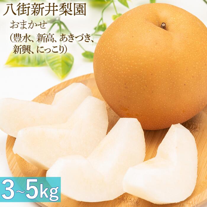 【ふるさと納税】なし 梨 3kg 5kg 豊水 新高 あきづき 新興 にっこり おまかせ 送料無料 取り寄せ おすすめ 人気 ナシ 限定  国産 期間 秋 10月 敬老の日 2024年 9月 季節  フルーツ 果物   くだもの 旬 千葉県 特選  訳アリ ギフト  食べ比べ 糖度  和梨 八街 新井梨園