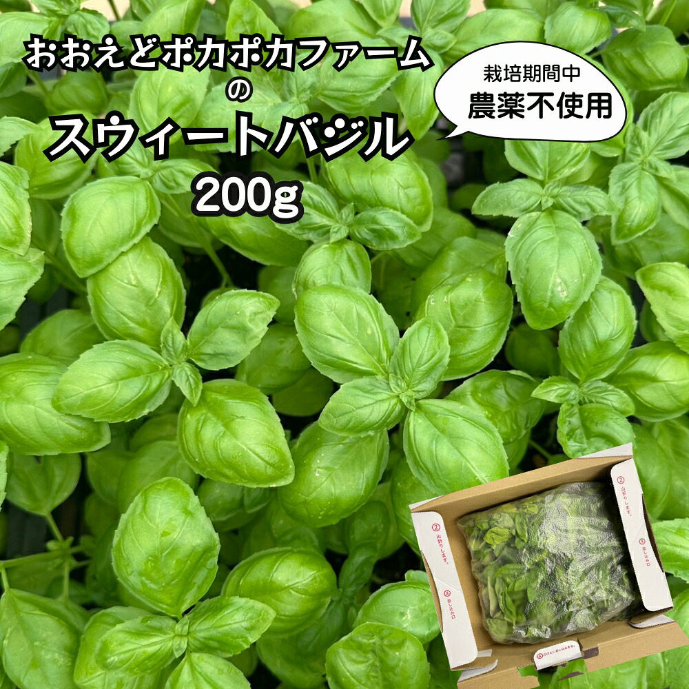 【ふるさと納税】ハスウィートバジル 200g 栽培期間中農薬不使用 ハーブ おおえどポカポカファーム 摘みたて フレッシュバジル 就労継続支援Ｂ型事業所 おおえどの里 先行予約 ５月より発送開始