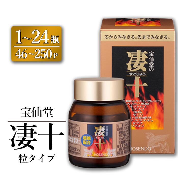 【ふるさと納税】宝仙堂 凄十 粒手合い 46p 120p 250p 1瓶 6瓶 12瓶 24瓶 八街市 千葉 活動力ドリンク ドリンク