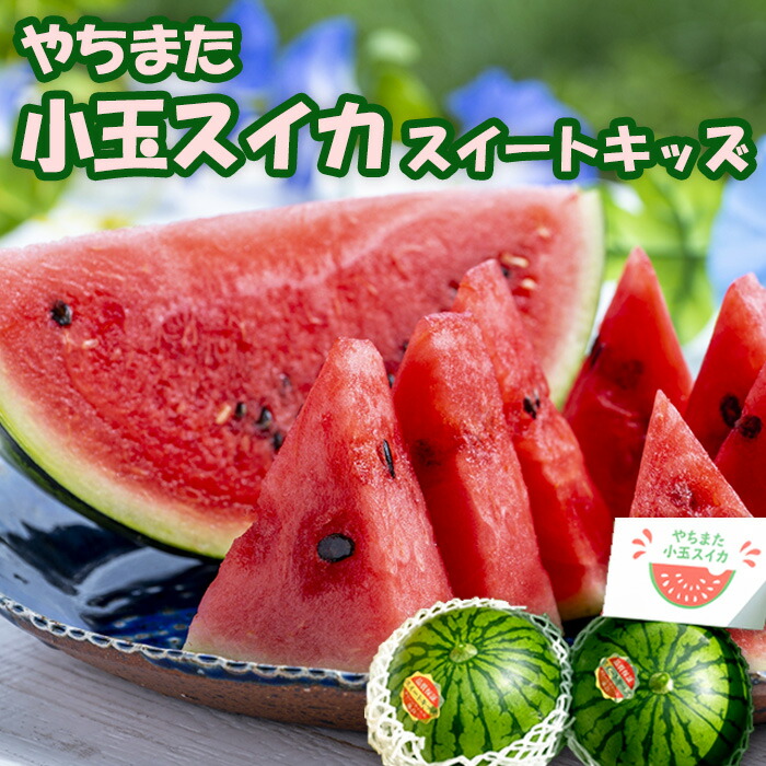 【ふるさと納税】スイカ  小玉すいか 2玉  西瓜 すいか スイートキッズ ちばエコ野菜 株式会社グリーンファーム落合 甘い みずみずしい おすすめ 直送 農家直送 八街 八街市 旬 千葉 果物 くだもの フルーツ