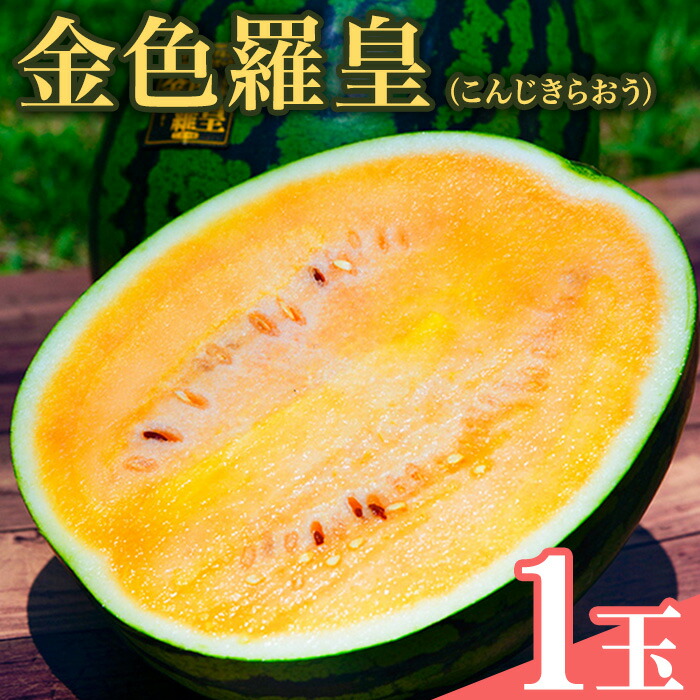 【ふるさと納税】金色羅皇（こんじきらおう）1玉