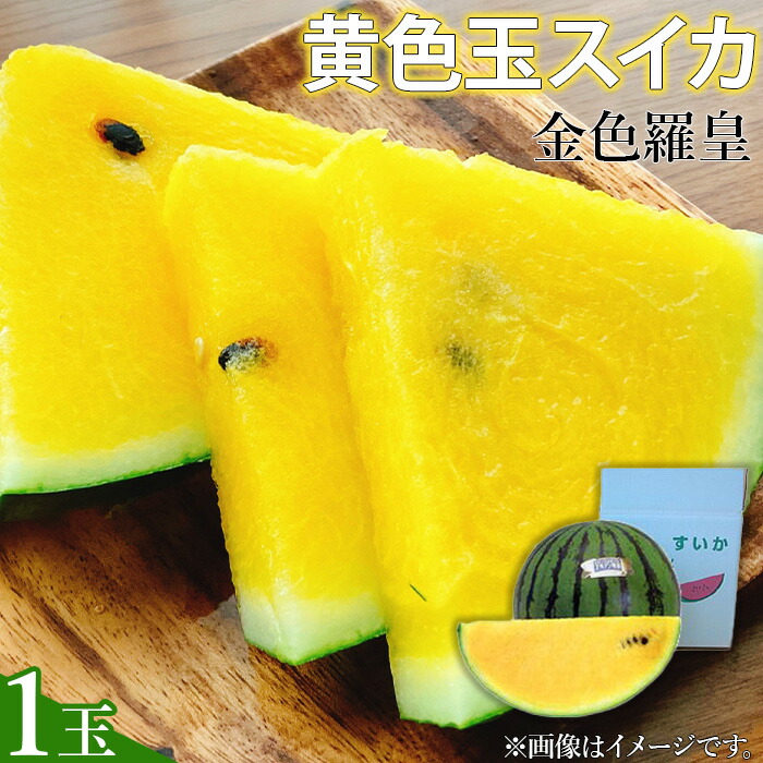 【ふるさと納税】スイカ 令和7年度出荷分 黄色玉すいか（金色羅王）4L 1玉 すいか スイカ 西瓜 黄色玉すいか 金色羅王 大玉 甘い みずみずしい おすすめ 直送 農家直送 山本すいか・落花生農園 八街 八街市 旬 千葉 果物 くだもの フルーツ