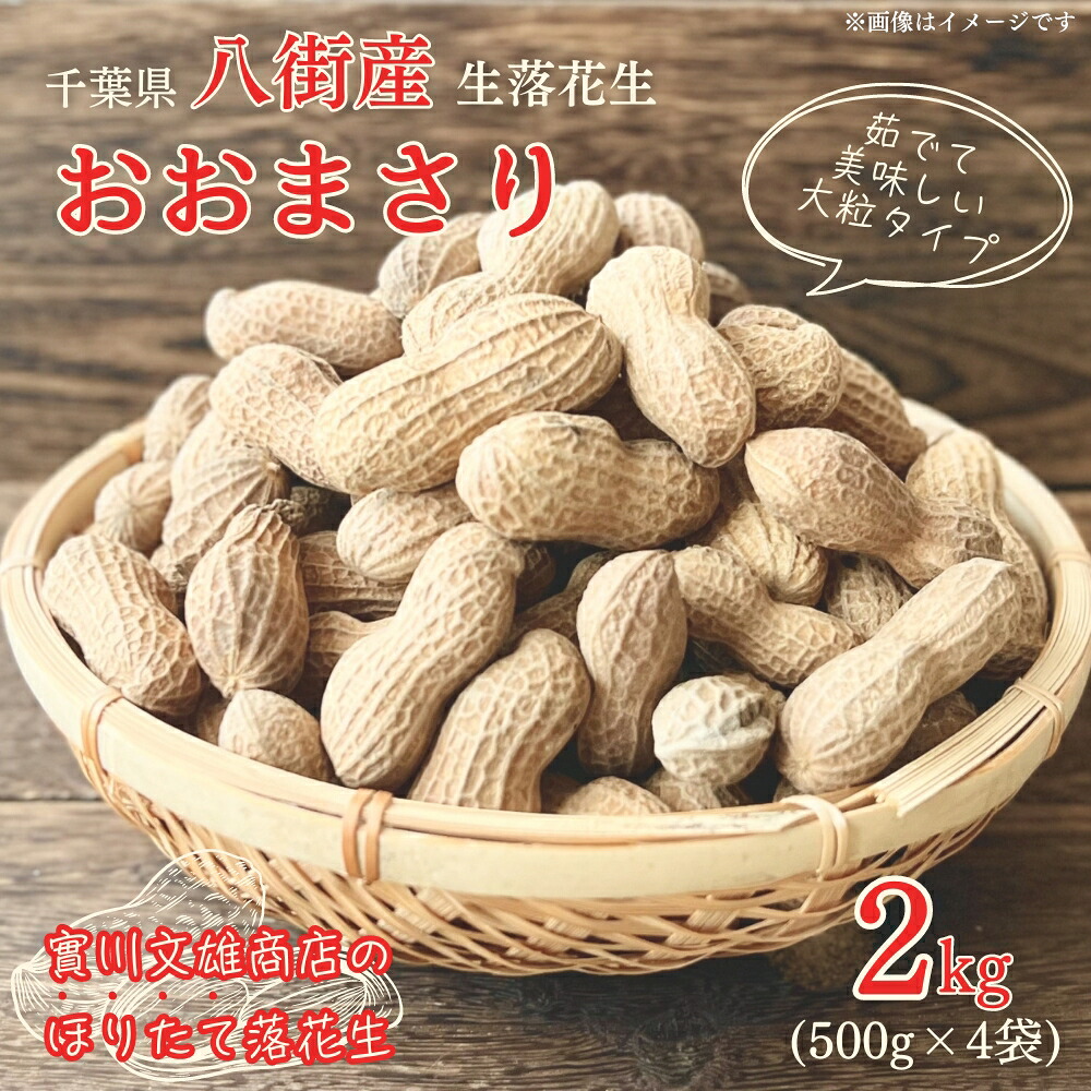 【ふるさと納税】落花生 掘りたて 生落花生 「 おおまさり 」 2kg （500g&times;4）八街産落花生 先行予約 2026年産 落花生おおまさり 落花生千葉県 落花生生 令和8年収穫豆 予約｜千葉県八街市