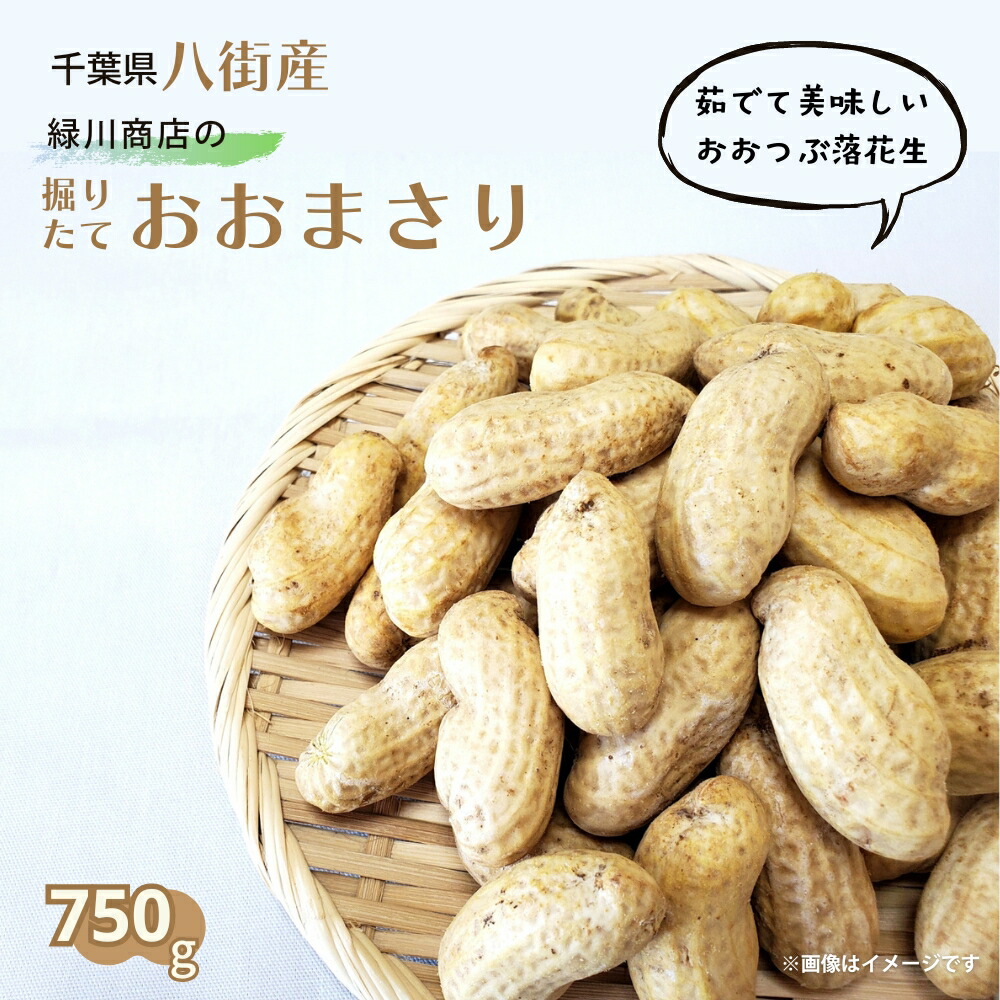 えのぐ様 千葉県八街産おおまさり4キロ 楽天市場】【ふるさと納税】＼選べる個数！／レトルトおおまさり