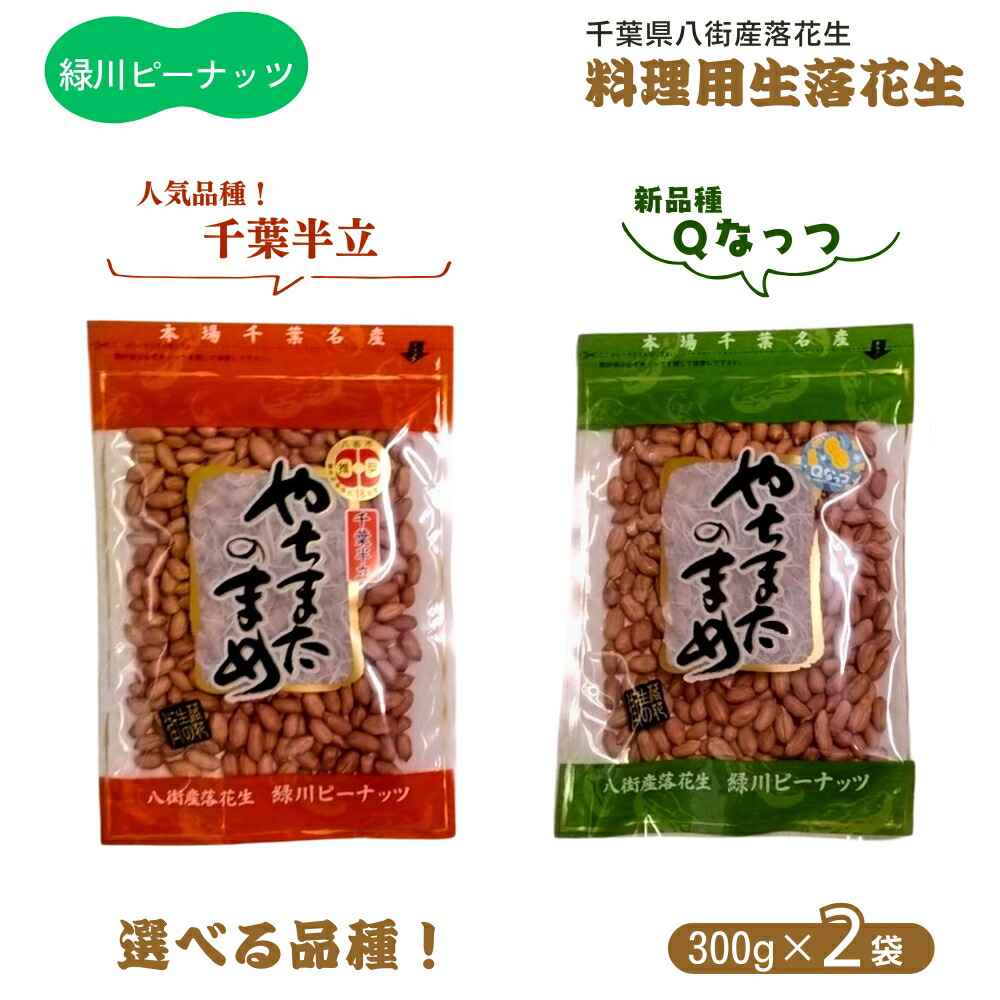 【ふるさと納税】生落花生 料理用 調理用落花生 ＼選べる美味しさ 千葉半立 Qなっつ／千葉県八街市産 生落花生（千葉半立 Qなっつ）お料理に 300g×2 ピーナツ ピーナッツ おつまみ おやつ クッキー ケーキ おすすめ 人気 酒 ビール 健康 千葉 八街 千葉県産 八街市産 国産
