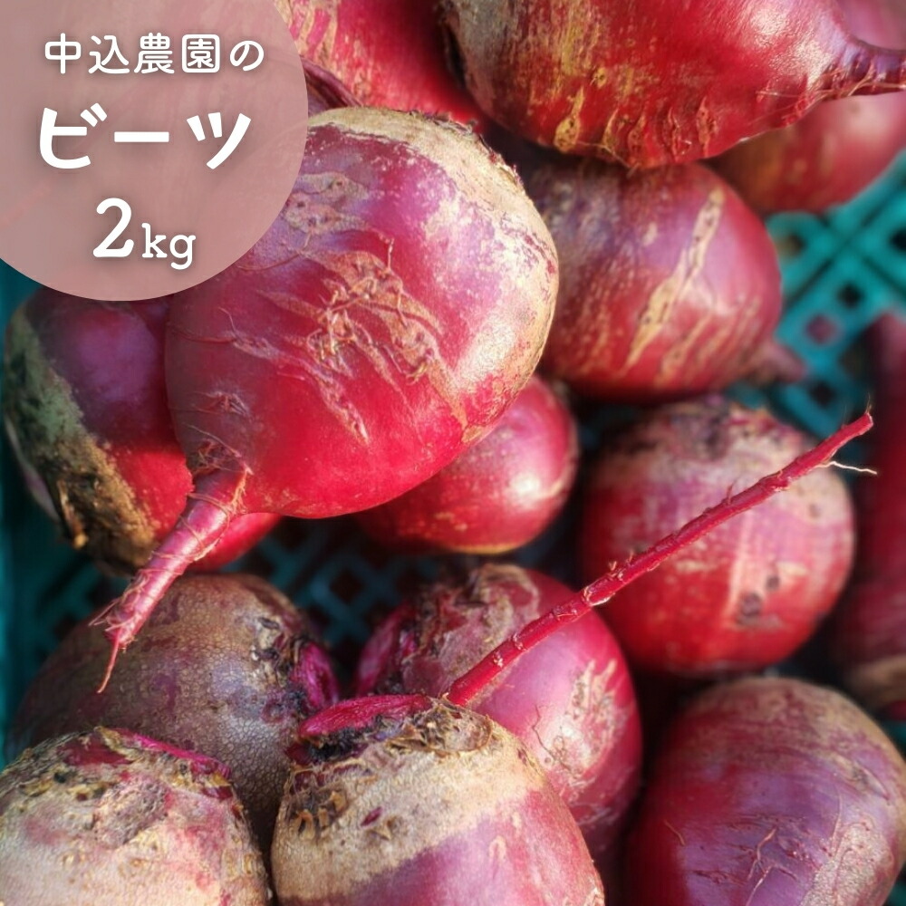 【ふるさと納税】先行予約 中込農園のビーツ 2kg 農家直送 産地直送 火焔菜 カエンサイ かえんさい ビート ビートルート レッドビート テーブルビート ガーデンビート ウズマキダイコン 野菜 やさい千葉県 八街市 八街 中込農園画像